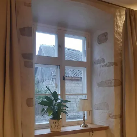 Apartament Kohtu 24-1 *